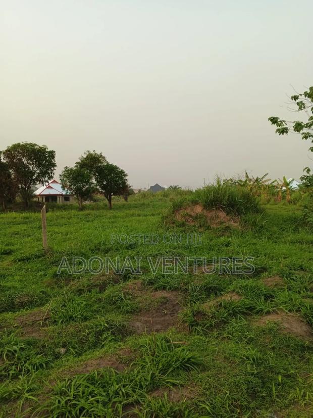 Full Plot of Land for Sale in Abuakwa Mim · Photo 3