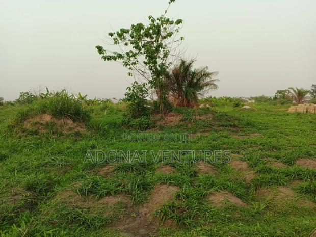 Full Plot of Land for Sale in Abuakwa Mim · Photo 4