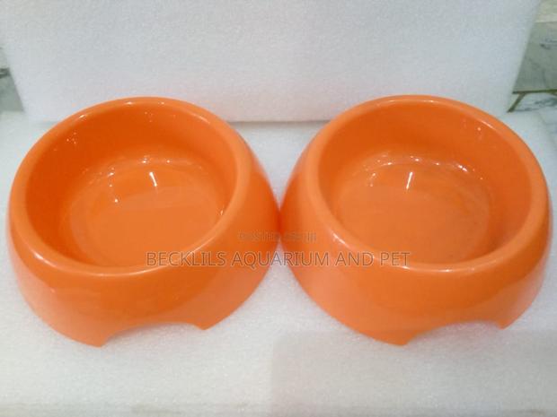 Orange Bowl for Dogs and Cat · Photo 2