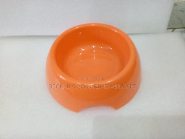 Plastic Blue Bowls for Dogs and Cat · Photo 4