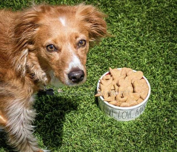 Dog Peanut Biscuits Treat · Photo 4