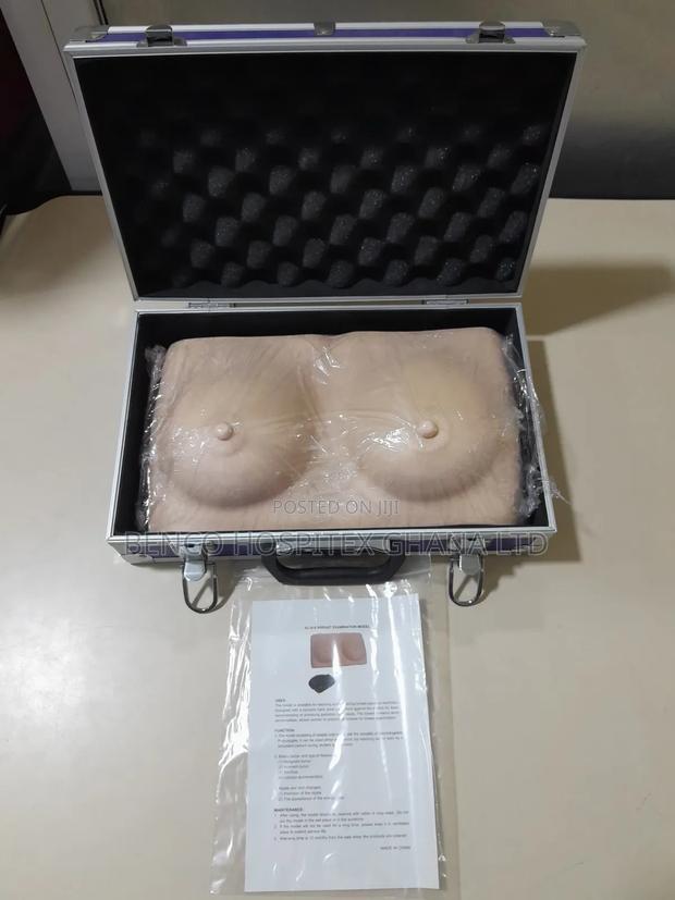 Breast Model · Photo 2