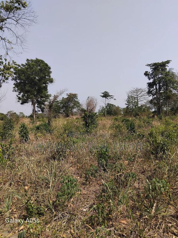 Farmland Available at Mankesim Not Far From Accra · Photo 4