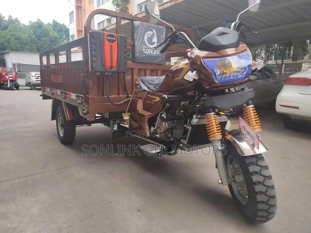 New Sonlink SL200ZH-SC 2024 Brown · Photo 1