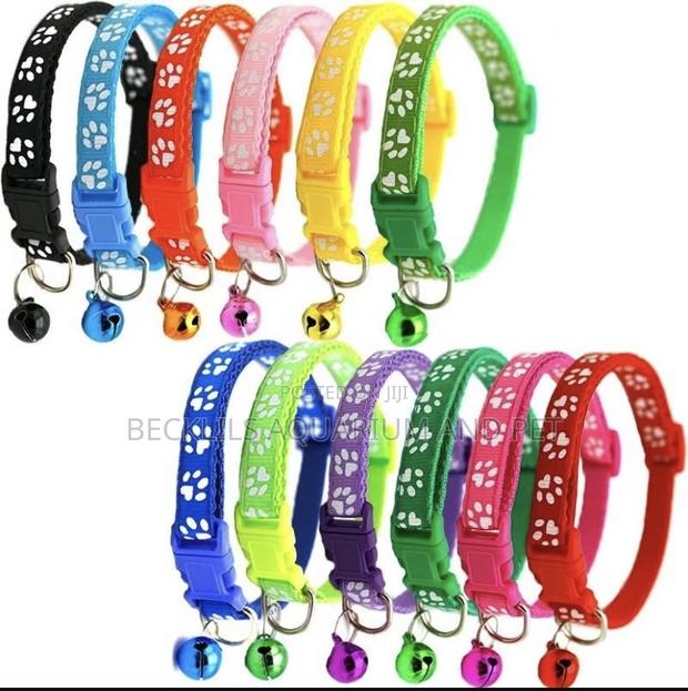 Adjustable Quality Dog N Cat Collars · Photo 3