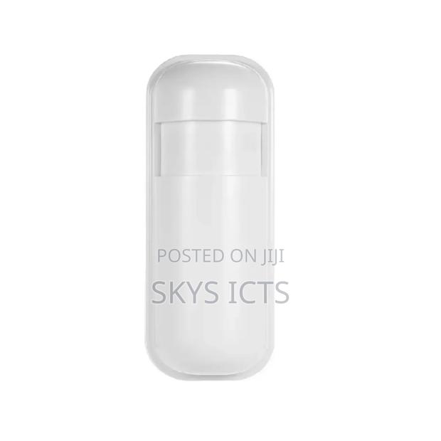 Smart Wireless Motion Detectors (Pir)