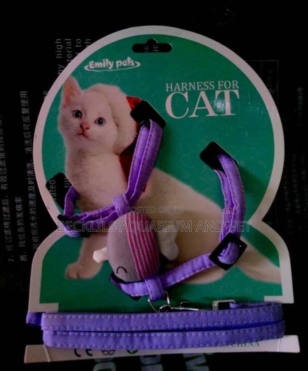 Harness for Cats · Photo 3