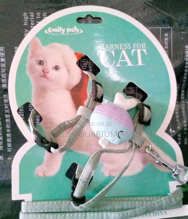Harness for Cats · Photo 4