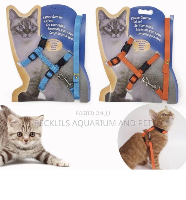 Cat Harness and Leash Set · Photo 4