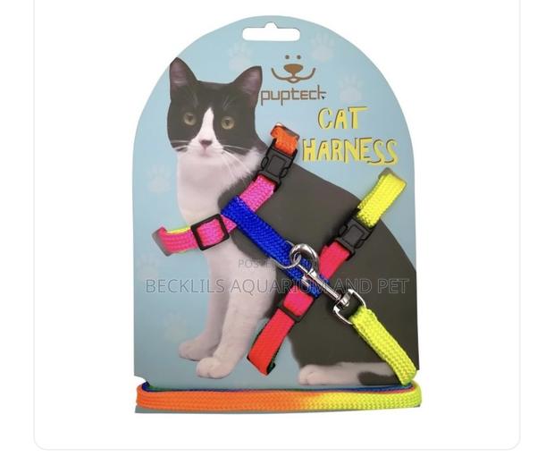 Cat Harness and Leash Set · Photo 3