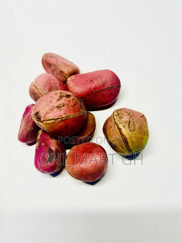 African Kola Nut photo 3