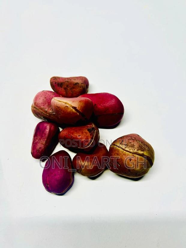 African Kola Nut photo 4