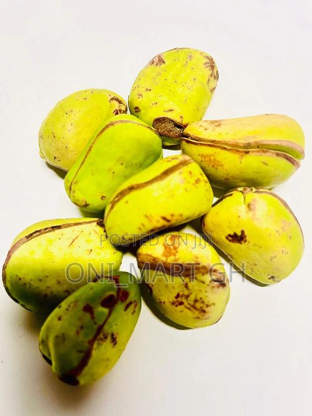 African Kola Nut photo 5