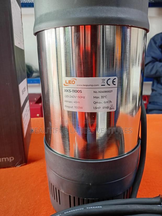 Ssubmersible Garden Pump · Photo 4