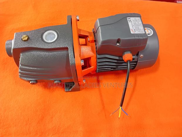 Leo Surface Pump Quality 1.5hp · Photo 3