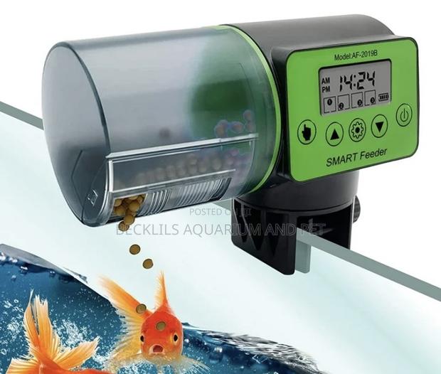 2 1n 1 Automatic Fish Feeder
