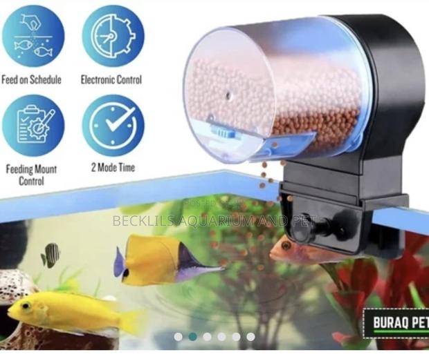 2 1n 1 Automatic Fish Feeder
