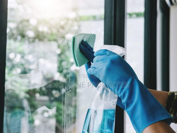 Profession Window Glass Cleaners · Photo 4