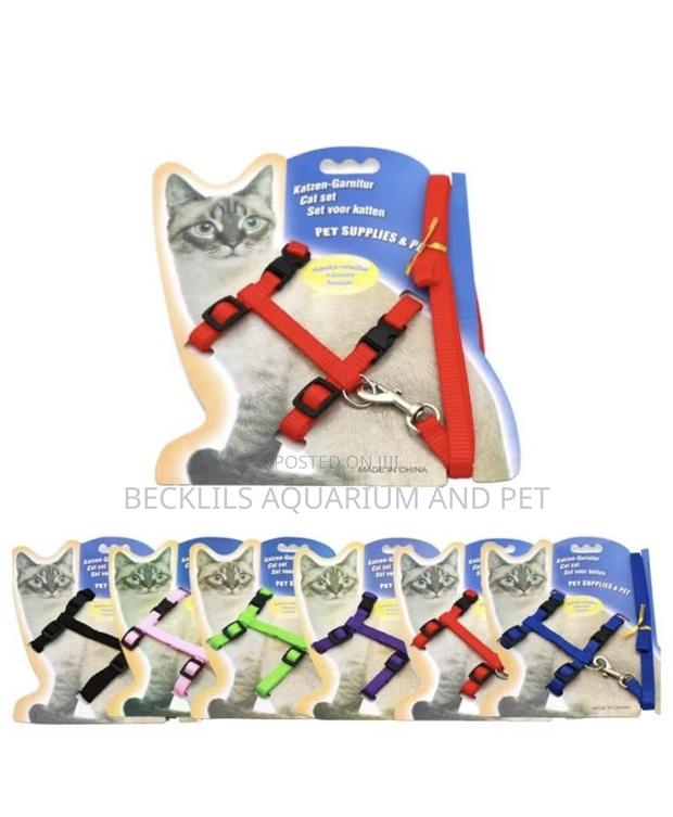 Cat Leash With Harness · Photo 3