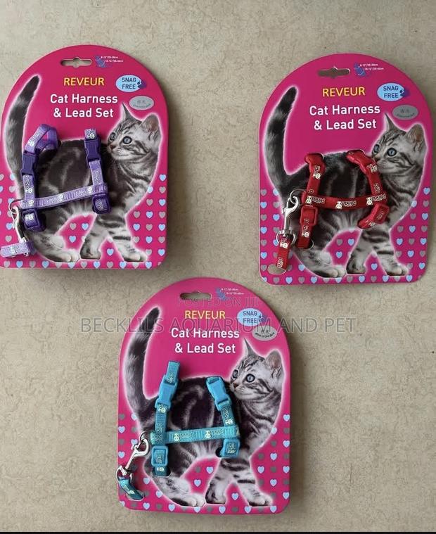 Cat Leash With Harness · Photo 4