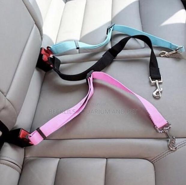 Car Set Belt Leash · Photo 3