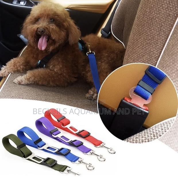 Car Set Belt Leash · Photo 4