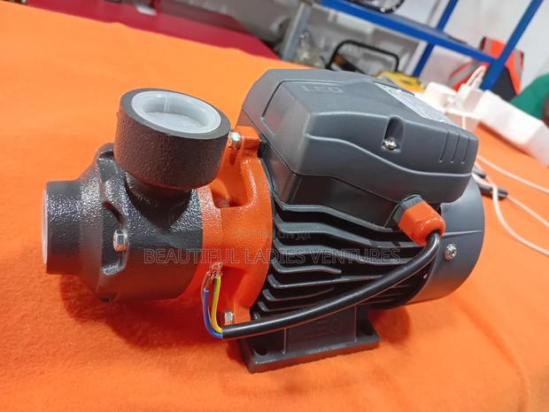 Leo Water Pump 0.5hp · Photo 4