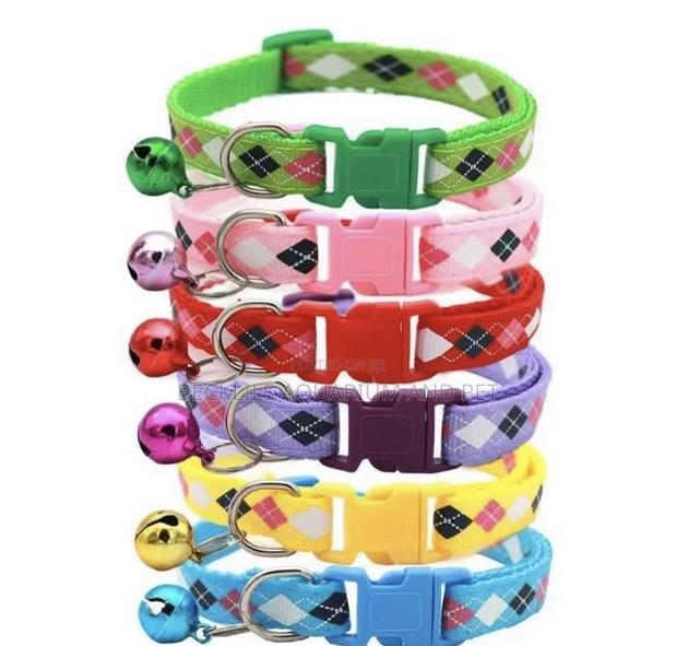 Pet Multicolored Collar · Photo 2