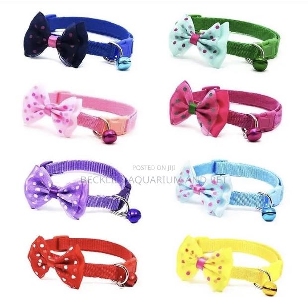 Quality Collars for Small Dogs and Cat · Photo 2