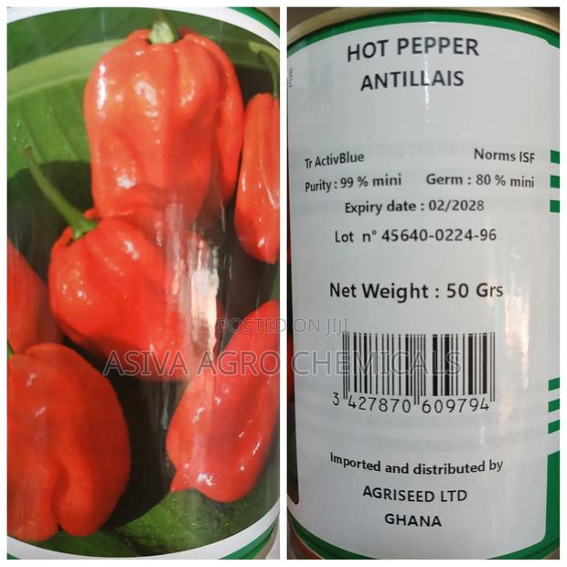 Hot Pepper Antillais (Habanero Pepper) 50grams
