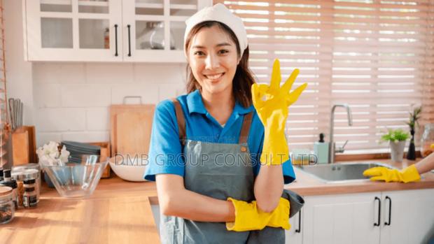 House to House Cleaners · Photo 4