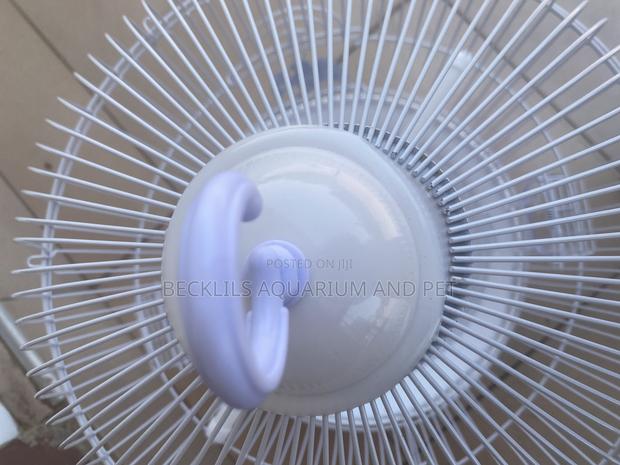 White Round Parrot Cages