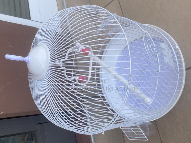 White Round Parrot Cages