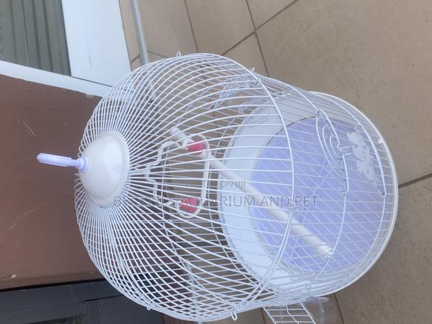 White Round Parrot Cages
