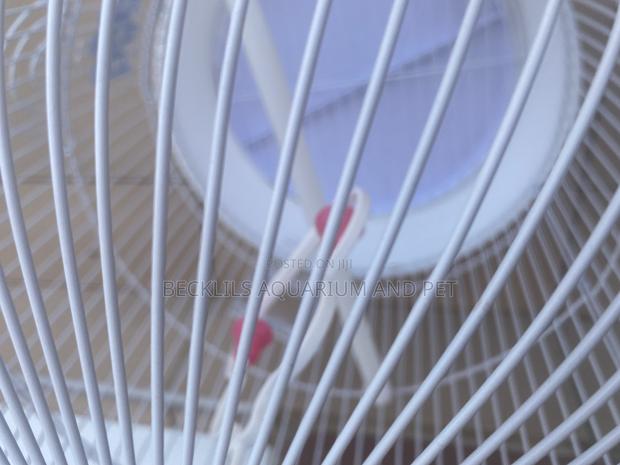 White Round Parrot Cages