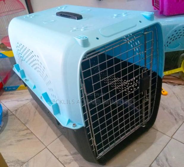 Spacing Dog Cages · Photo 2