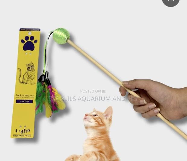 Cat Play Toys · Photo 4