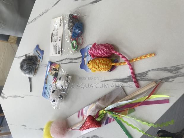 Cat Play Toys and Accessories · Photo 4