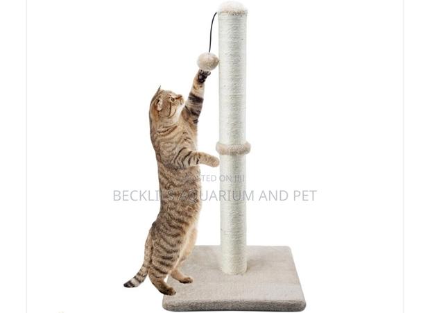 Morden Designed Cat Scratching Post