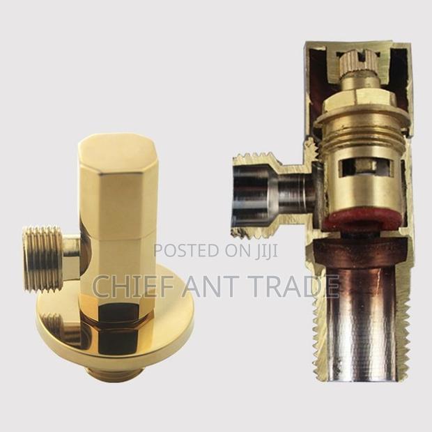 Golden Angle Valves Df-603 · Photo 4