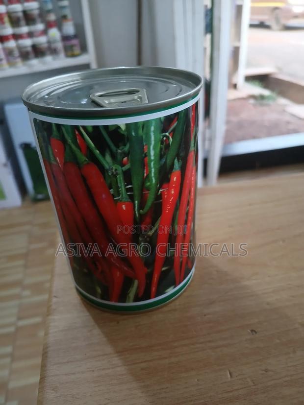 Cayenne Pepper (Chilli Pepper) Seeds photo 2