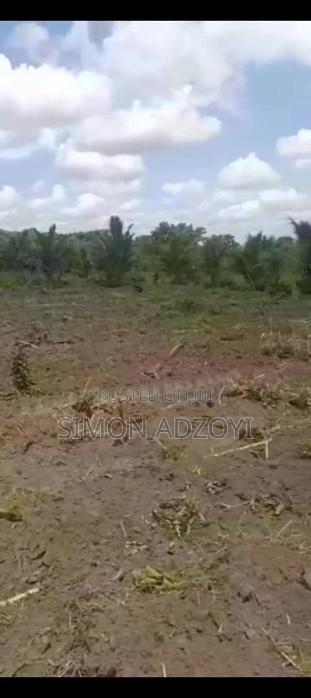 5 Acres of Farm Land for Sale