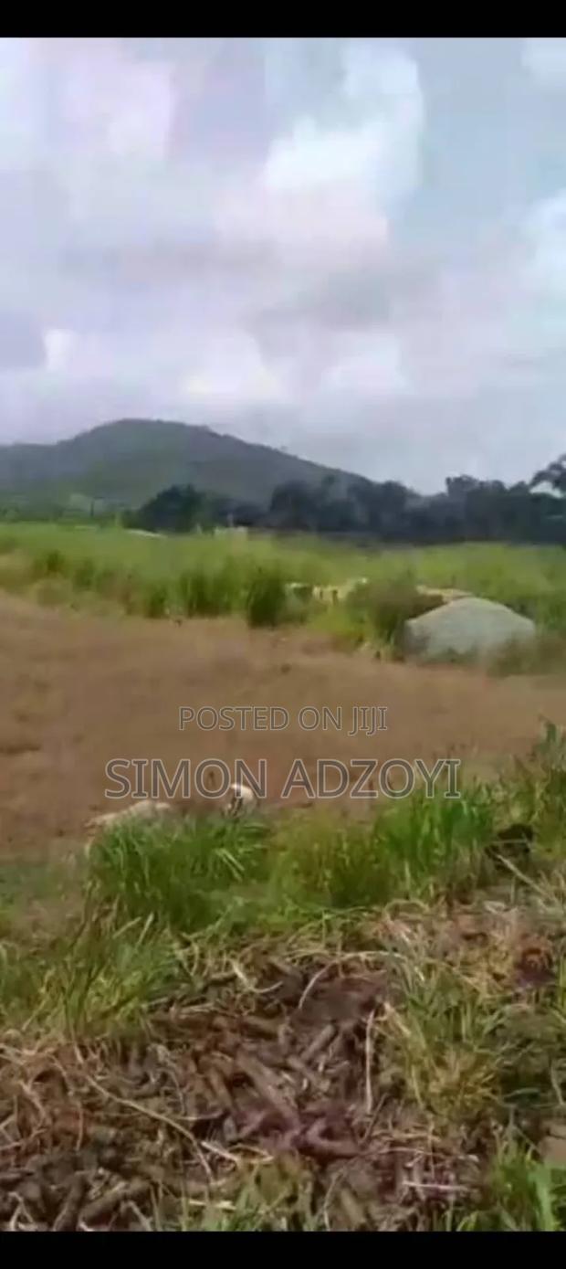 5 Acres of Farm Land for Sale