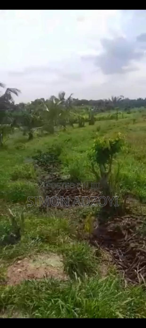5 Acres of Farm Land for Sale