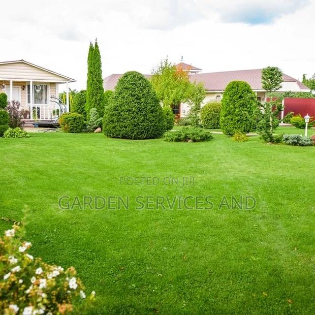 Gardening and Landscaping Service Available photo 14