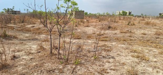 Dream Half Plots at Reduced Price - Prampram Beach Road · Photo 3