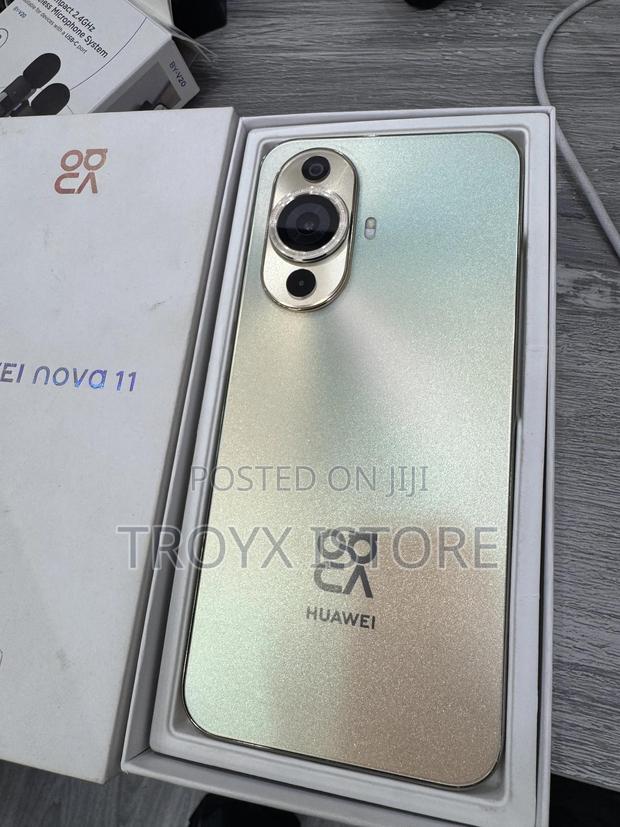 Huawei nova 11 256 GB Gold