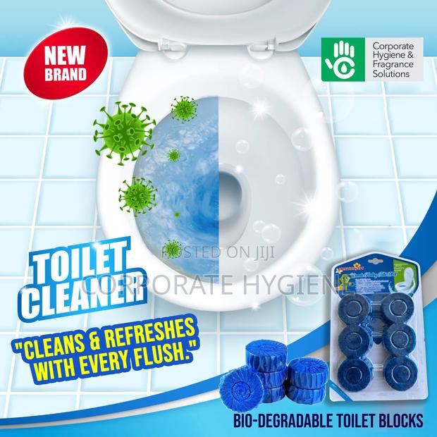 Toilet Blocks