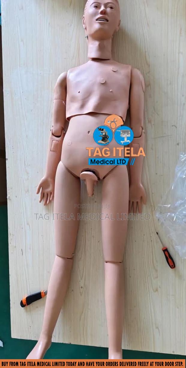 Anatomy Dummy (Full Body Unisex) · Photo 2