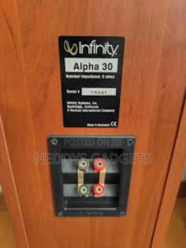 Infinity Alpha 30
Floorstanding Speaker · Photo 4